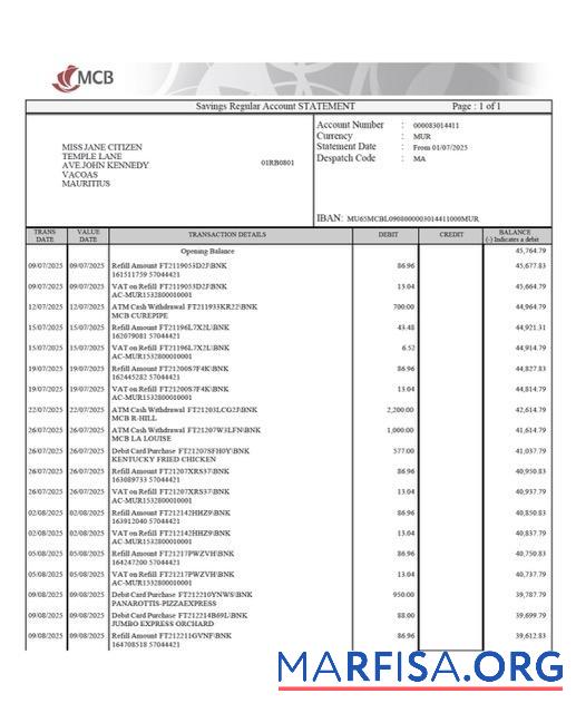 Blank Mauritius Commercial Bank (MCB) account statement word template